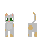 sparrowpaw - my warrior cat oc
