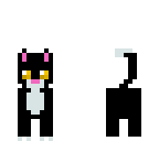black cat