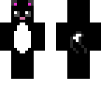 black cat