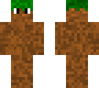dirt dude
