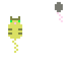 cat and mouse