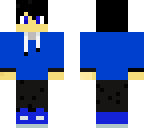 budricks skin