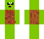 derp turtle