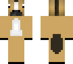 horse