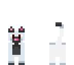 kitty cat