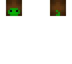 polaris the turtle