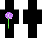 allium