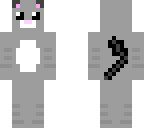 grey cat