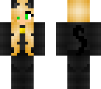 chat noir edit