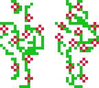 flower bush