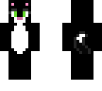 sox the cat 