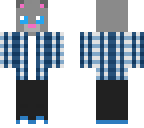 aircat skin