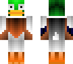 wild duck