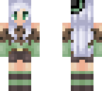 mint chocolate chip
