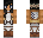 attackontitanskin