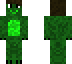 lizard
