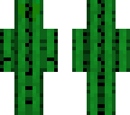 plain cactus