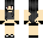 zanes sis
