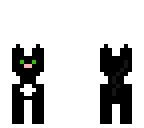 little cat