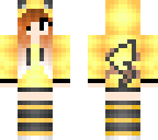 anaichu