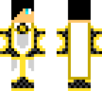 holy knight