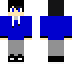 budricks skin