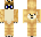 perceh doge