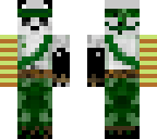 panda warrior with cast