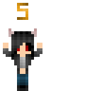 5 followerss