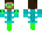 fly steve