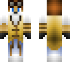 hoi