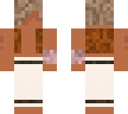 the desert walker