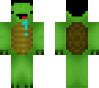 turtle hairline