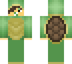baby turtle