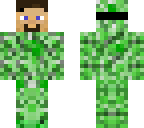 fake steve