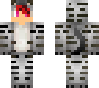 cute tiger boy