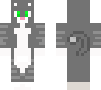 gatozapato