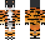 ninja tiger