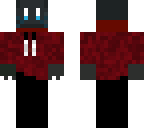 cat with jacket