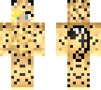 leopard sun