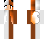 half shiny eevee half normal eevee