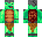knight turtle