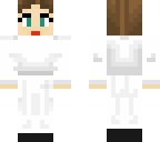 princess leia custom 