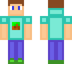 simple steve