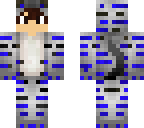 skin gatito
