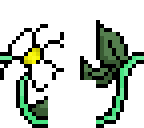daisy