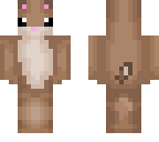 hamster