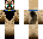 cat for me