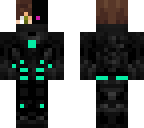 ender assasin