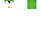 penguin in turtle suit